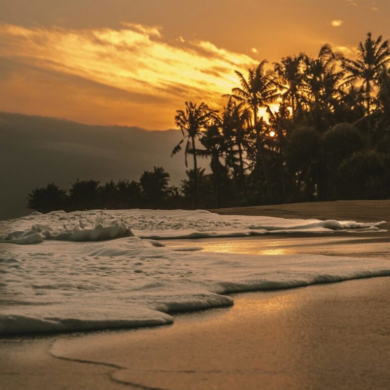 Veja quanto custa viajar para Fernando de Noronha em 2025: valores de passagens, hospedagem, alimentação e taxas. Planeje com economia!