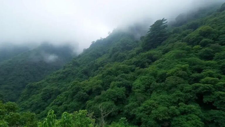 Como Aproveitar o Clima Frio nas Montanhas Pernambucanas